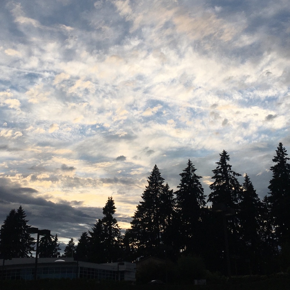 Meet your Posher, Miro McCord